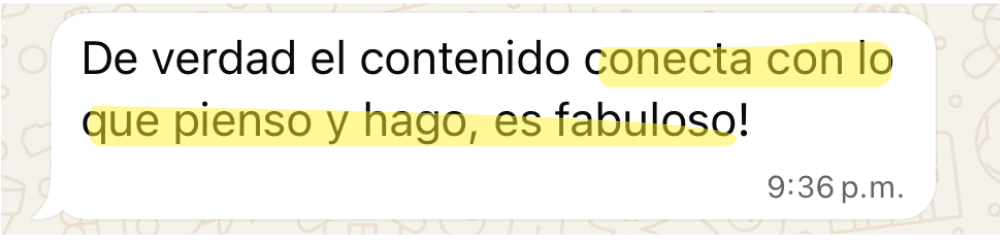 Captura de conversación con Aníbal sobre El Sistema Alkimia
